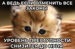 Приколы-для-даунов-разное-котик-8388794.jpeg