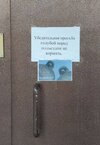 голуби-птицы-кормление-подъезд-8407024.jpeg