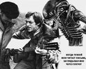 Владимир-Высоцкий-Общественные-деятели-Знаменитости-Alien-8411869.jpeg