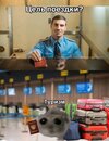 эмиграция-туризм-картинки-с-текстом-8415842.jpeg
