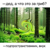 приколы-для-даунов-8428370.png
