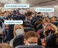 мемасы-астрология-гомеопатия-8704668.jpeg