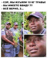 гифки-латинская-америка-заправка-5449327.jpeg