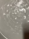 IMG_8306.jpeg
