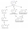 530px-Amphetamine_metabolism_ru.svg.png