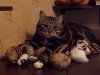 DSC00105.JPG