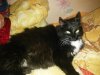 photofacefun_com_1475175591.jpg