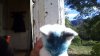 WIN_20161015_094951.JPG