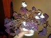 PicsArt_10-21-06.41.30.jpg