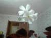 PicsArt_10-21-06.44.32.jpg