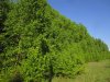 IMG_9659n.jpg