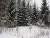 IMG_9553n.jpg