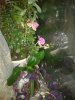PicsArt_11-27-11.22.45.jpg
