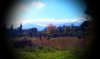 IMAG0144.jpg