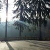 IMG_20161217_152854.jpg