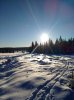 IMG-20170101-WA0000.jpg