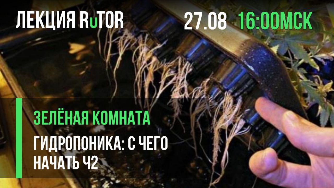 vikkqrm6c9cp02up.jpg