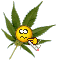 smokedopelbg023_52_9063.gif