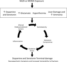 www.sciencedirect.com