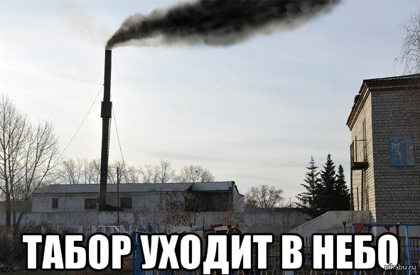1365600555_1726480233.jpeg