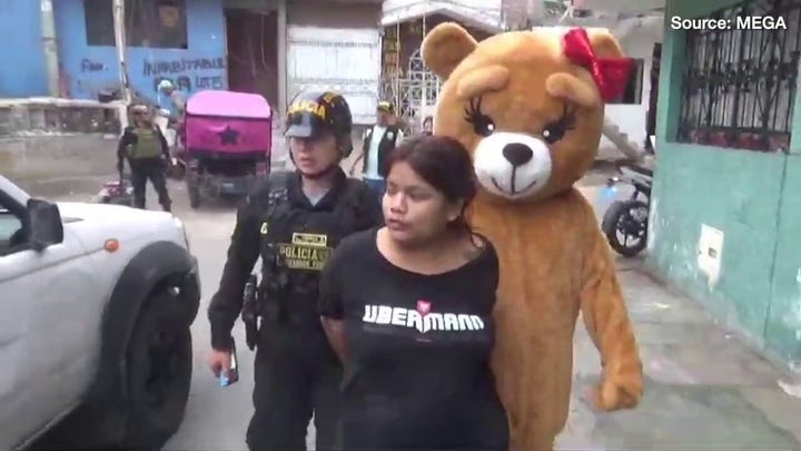 Пушистый медведь задержал подозреваемую торговку наркотиками в Дне святого Валентина