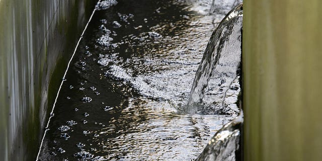 Вода вытекает из очистных сооружений в Бранденбурге 10 сентября 2021 года. Исследование, анализирующее сточные воды, показало, что употребление кокаина выросло по всей Европе.