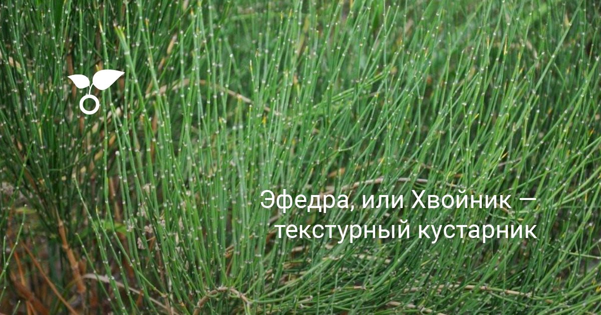 www.botanichka.ru