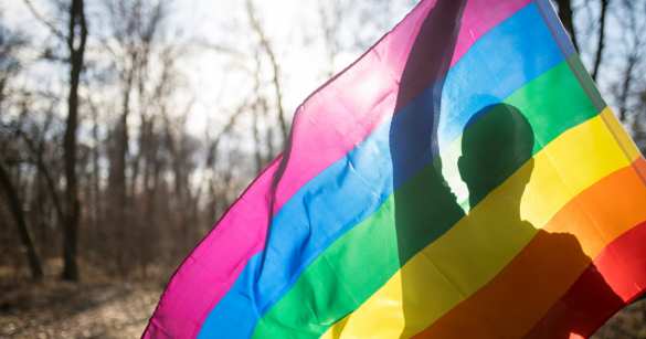 Эстонская боль: геям – всё, а традиционным семьям – ничего | Русская весна
